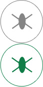 QM球盟会高效抗菌