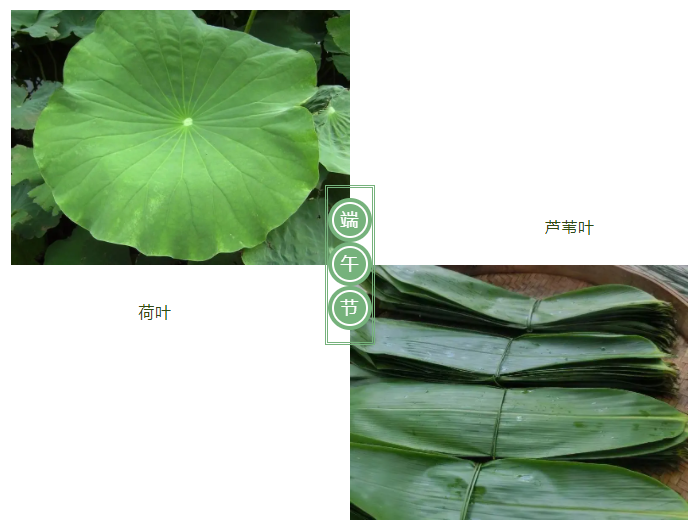 QM球盟会医纺