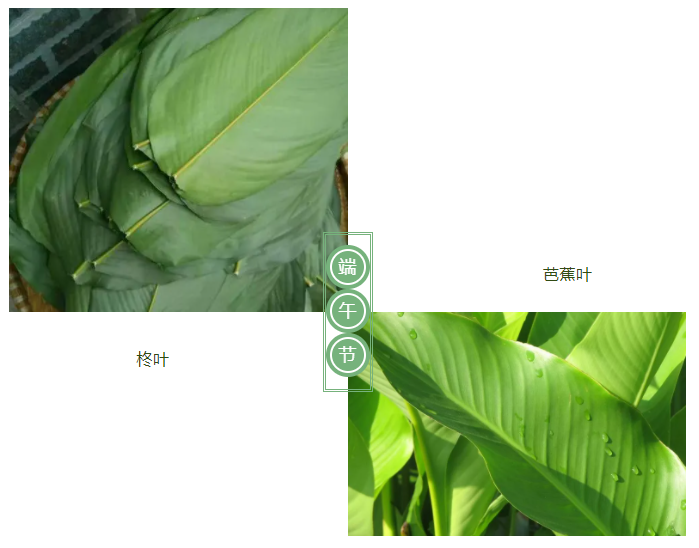 QM球盟会医纺