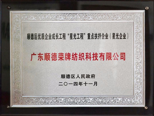 QM球盟会-2012年获顺德政府颁发“星光企业”称号
