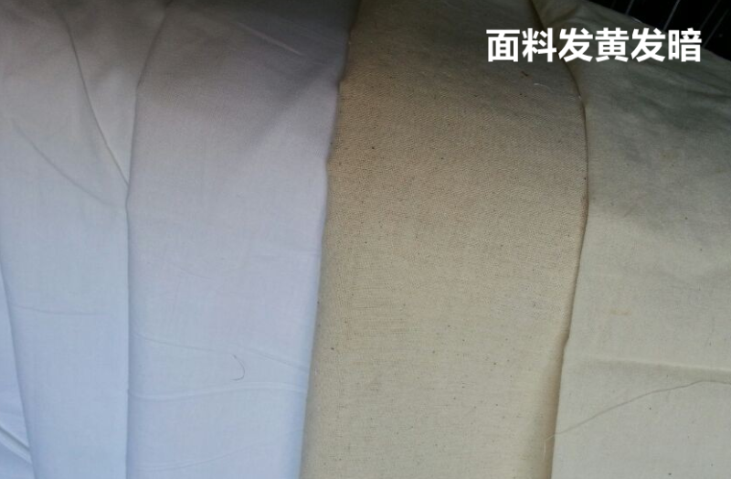 QM球盟会医防医用面料
