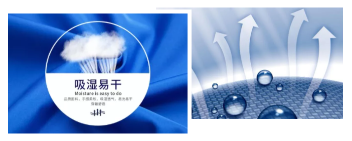QM球盟会医纺