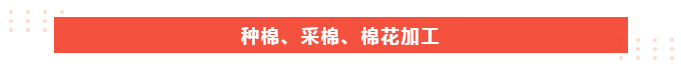 QM球盟会医纺