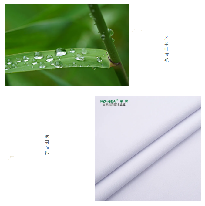 QM球盟会医纺